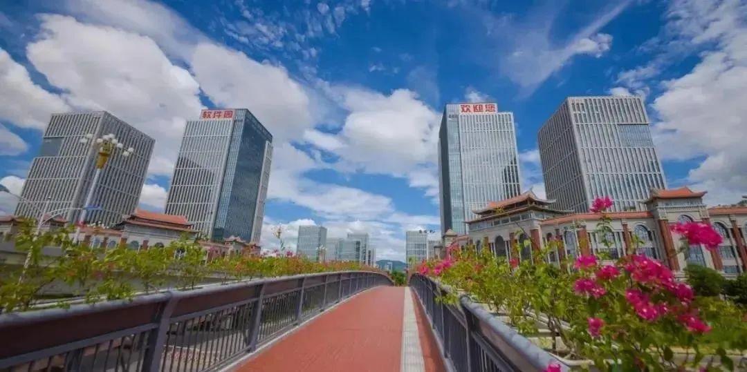 最高补助500万！厦门软件和信息技术服务业迎来政策红利，专项资金申报正式启动